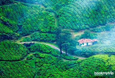 Bookmytripholidays | Destination Munnar