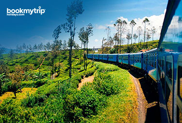 Bookmytripholidays | Destination Nuwara Eliya