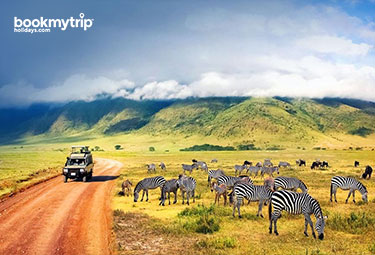 Bookmytripholidays | Destination Tanzania