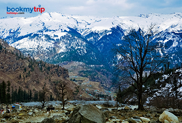 Bookmytripholidays | Destination Manali