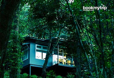 Bookmytripholidays Accommodation | Wayanad | Wayanad Wild CGH Earth