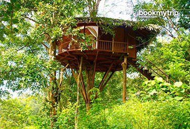 Bookmytripholidays | Rainforest,Athirappilli | Best Accommodation packages