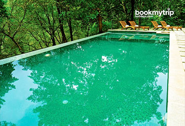 Bookmytripholidays | Rainforest,Athirappilli | Best Accommodation packages