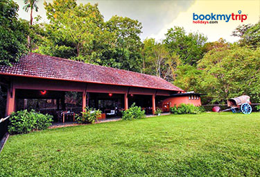 Rainforest | Athirappilli | Bookmytripholidays | Popular Hotels and Accommodations