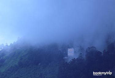 Bookmytripholidays | Amber Dale Luxury Hotel and Spa,Munnar  | Best Accommodation packages