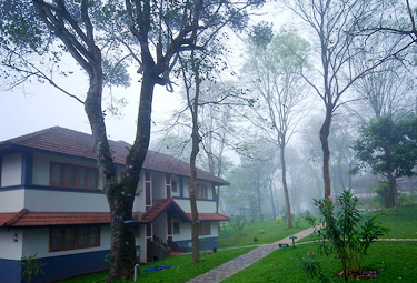 Bookmytripholidays | Greenwoods Resort,Thekkady  | Best Accommodation packages