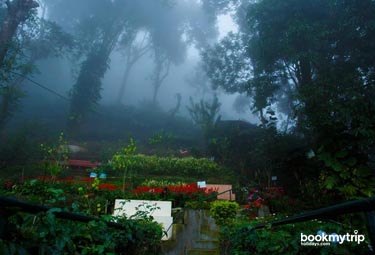 Bookmytripholidays | Misty Mountain Resort,Munnar  | Best Accommodation packages