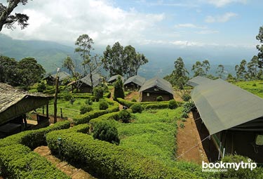 Bookmytripholidays | Nature Zone,Munnar  | Best Accommodation packages