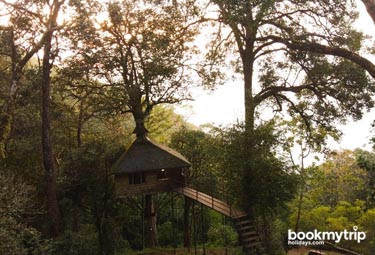 Bookmytripholidays | Nature Zone,Munnar  | Best Accommodation packages