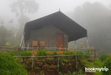 Bookmytripholidays | Nature Zone,Munnar  | Best Accommodation packages