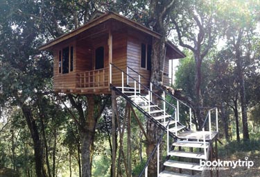 Bookmytripholidays | Nature Zone,Munnar  | Best Accommodation packages