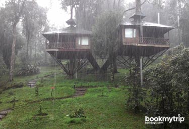 Bookmytripholidays | Nature Zone,Munnar  | Best Accommodation packages