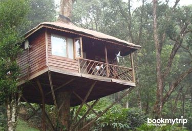 Bookmytripholidays | Nature Zone,Munnar  | Best Accommodation packages